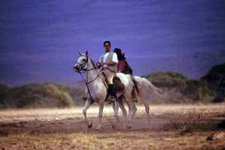 Tanzania-Tanzania-Kilimanjaro Classic Ride